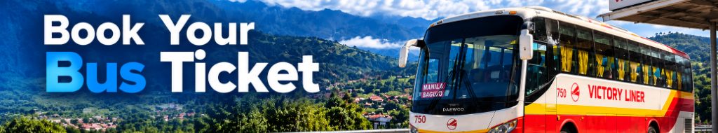 Book Your Bus Ticket - Mckanes Travel and Tours