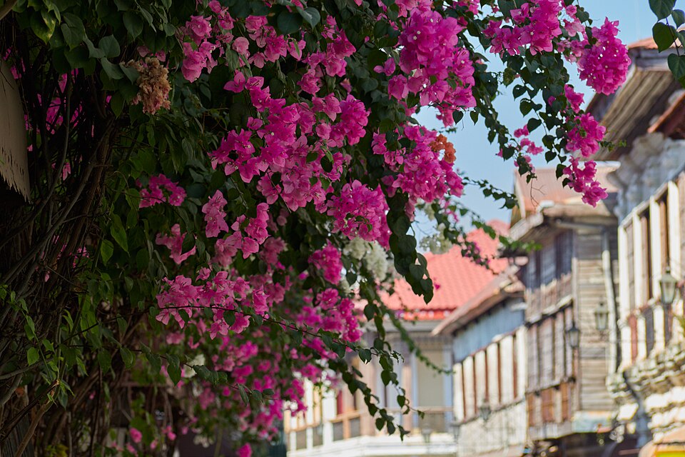 Vigan