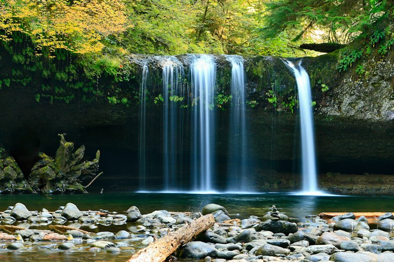 Waterfall Trails